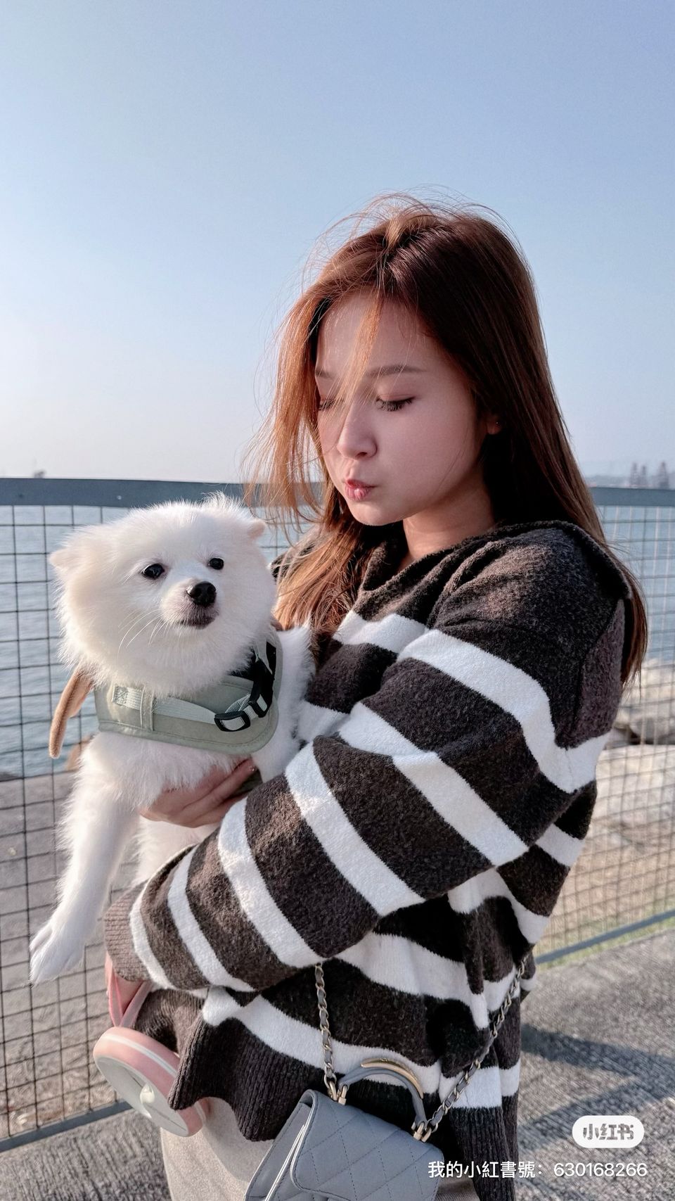 寵物保姆💜 - サービス説明 1