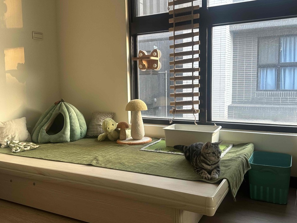 🐱貓咪豪華度假村 - 服務說明 3