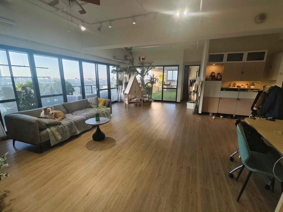 🐱貓咪豪華度假村 - 服務說明 8