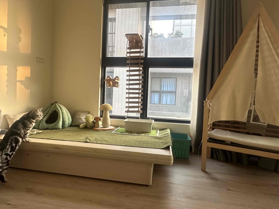 🐱貓咪豪華度假村 - 服務說明 5