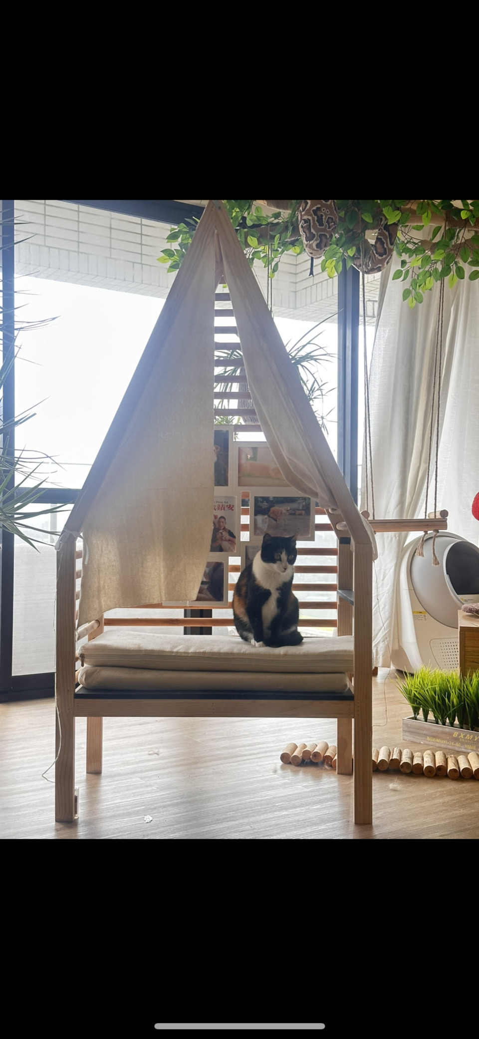 🐱貓咪豪華度假村 - 服務說明 7