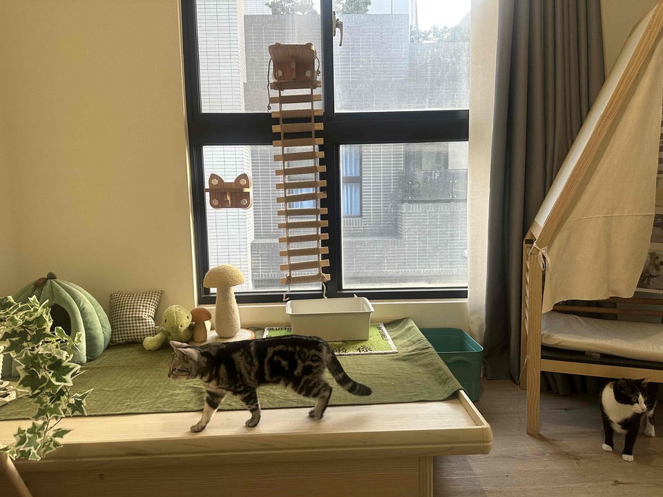 🐱貓咪豪華度假村 - 服務說明 4