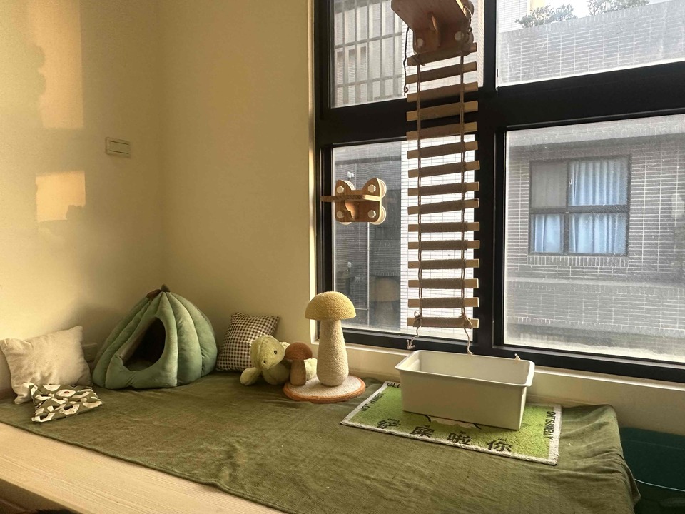 🐱貓咪豪華度假村 - 服務說明 2