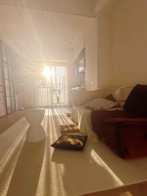 🌈阿尼👨🏻‍💻的🐶寵愛窩（板橋、土城）平日下單區