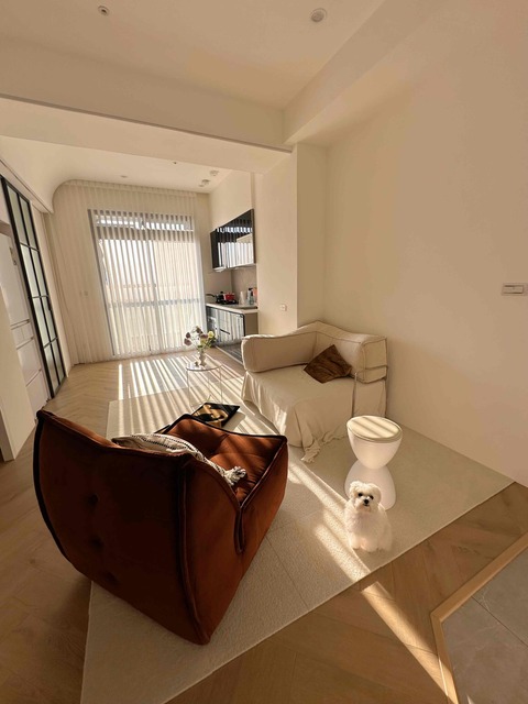 🌈阿尼👨🏻‍💻的🐶寵愛窩（板橋、土城）平日下單區