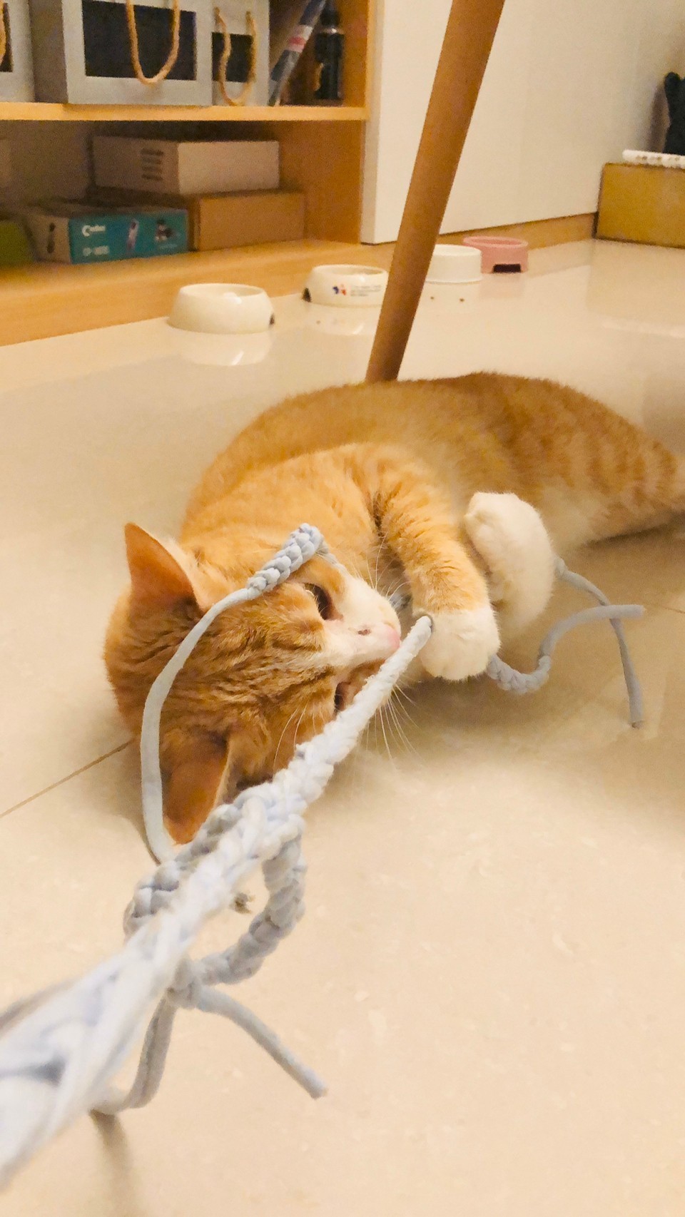 阿程的到府照顧 - サービス説明 8