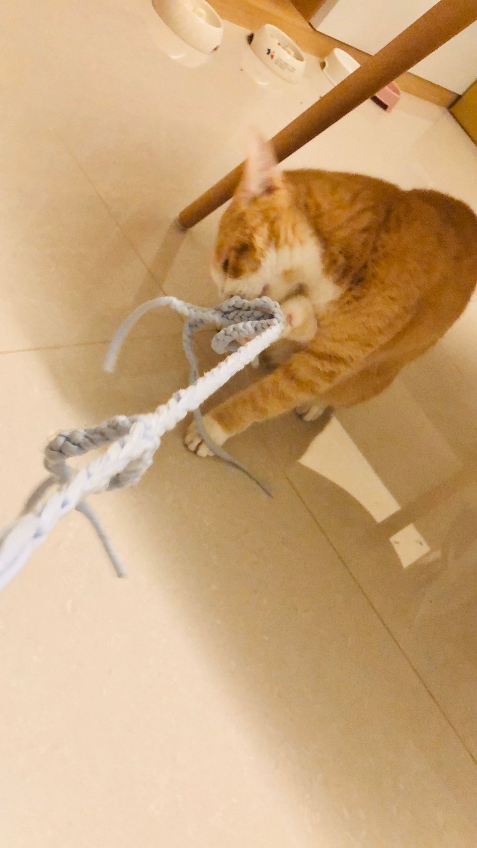 阿程的到府照顧 - サービス説明 7