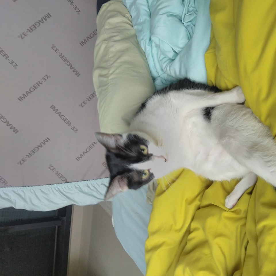 阿程的到府照顧 - サービス説明 6