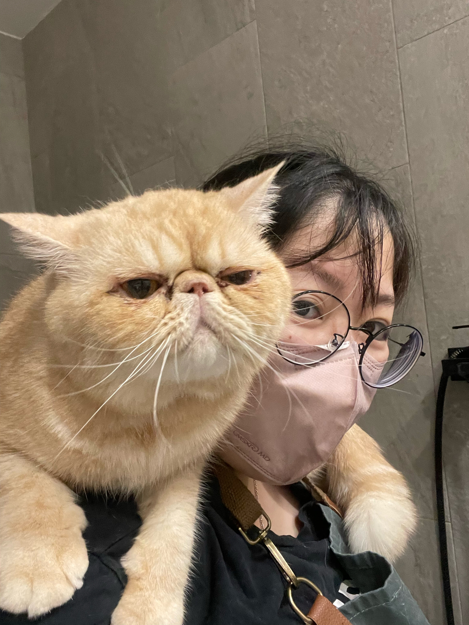 專職寵物美容師 - Description 4