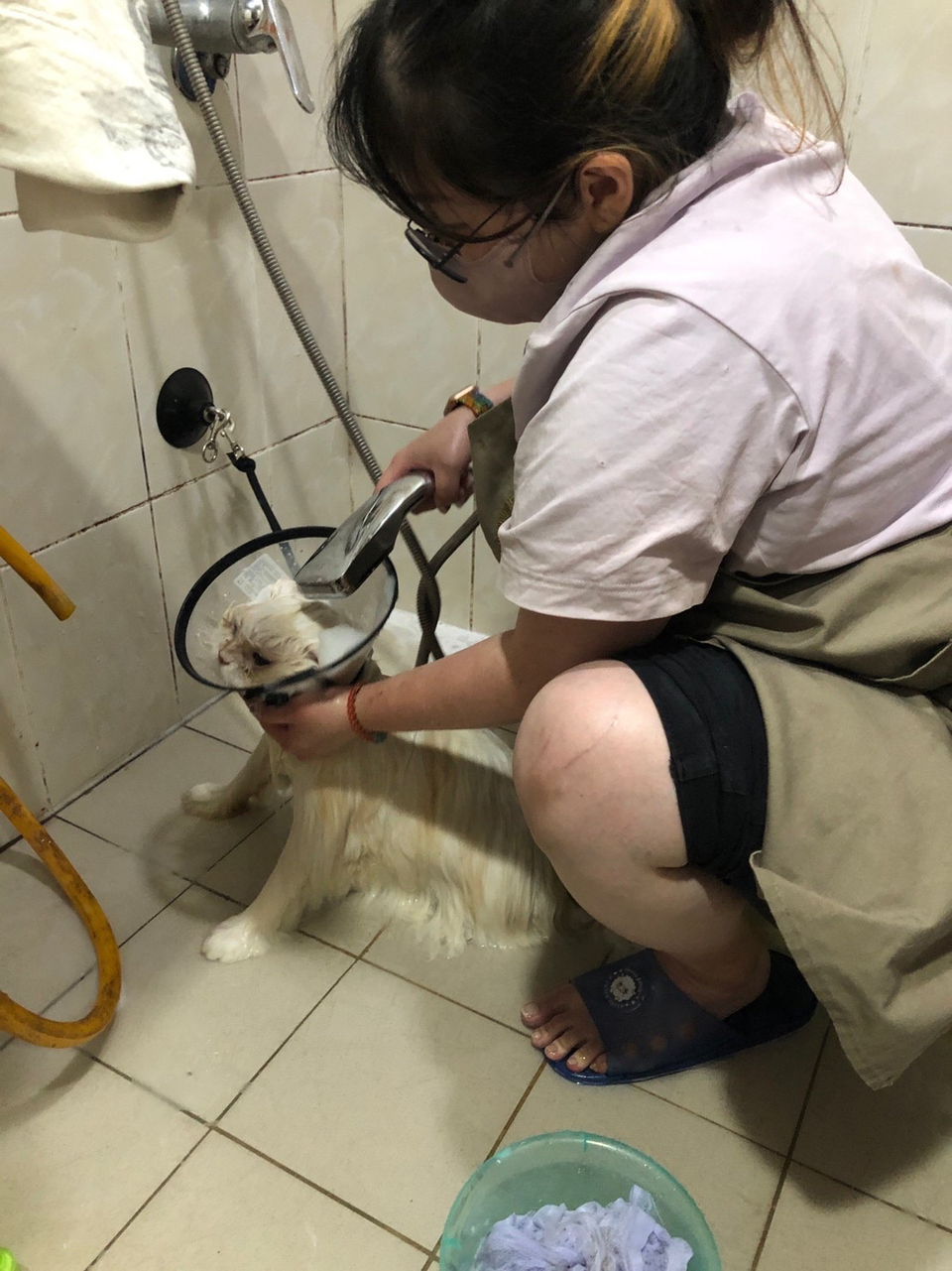 專職寵物美容師 - Description 3