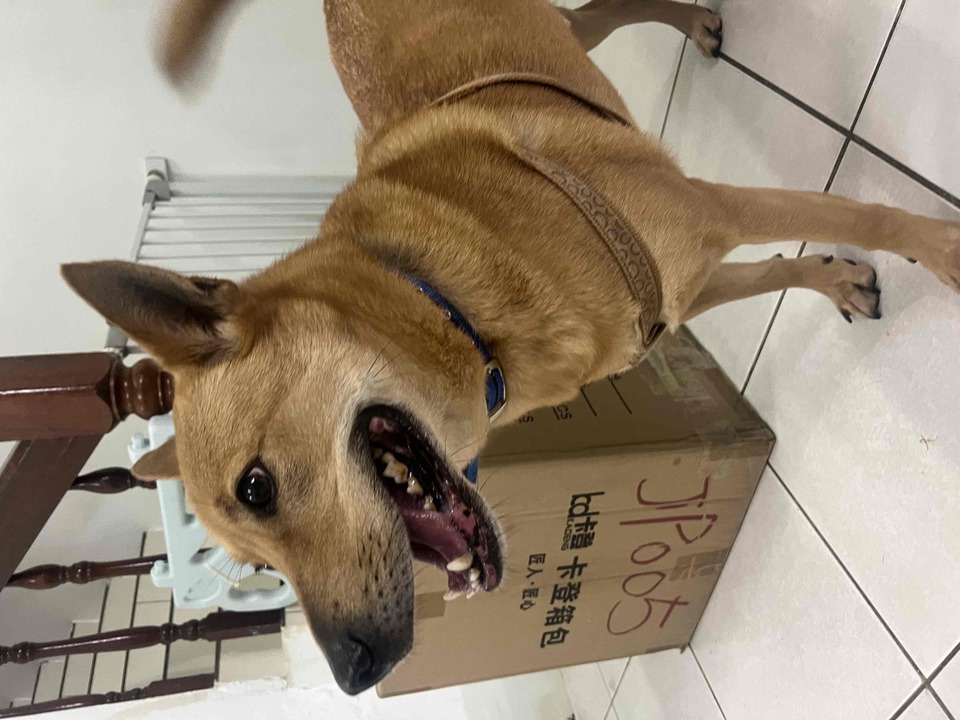 連假有空～歡迎預約～通化街（臨江街夜市） - 服務說明 6