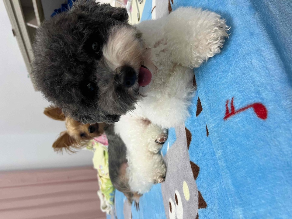 連假有空～歡迎預約～通化街（臨江街夜市） - 服務說明 5