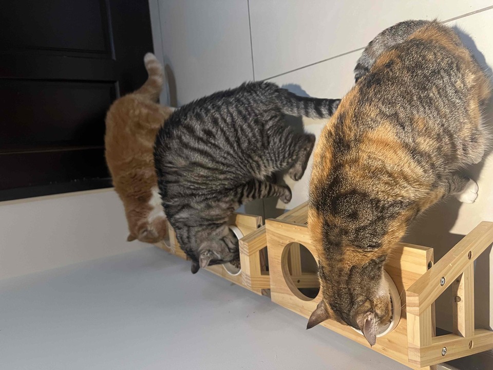 連假有空～歡迎預約～通化街（臨江街夜市） - 服務說明 9