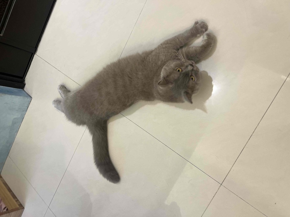 連假有空～歡迎預約～通化街（臨江街夜市） - 服務說明 7