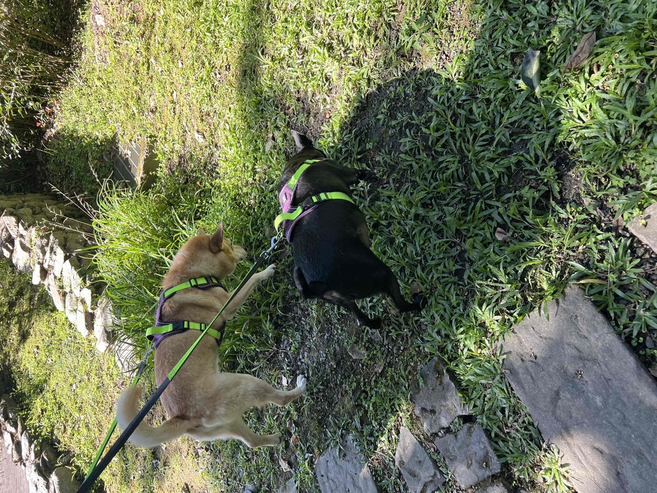 捷運 信義安和 六張黎 - 服務說明 8