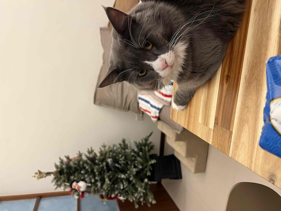 連假有空～歡迎預約～通化街（臨江街夜市） - 服務說明 1