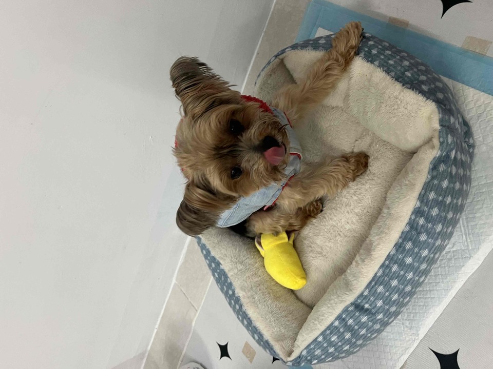 捷運 信義安和 六張黎 - 服務說明 9