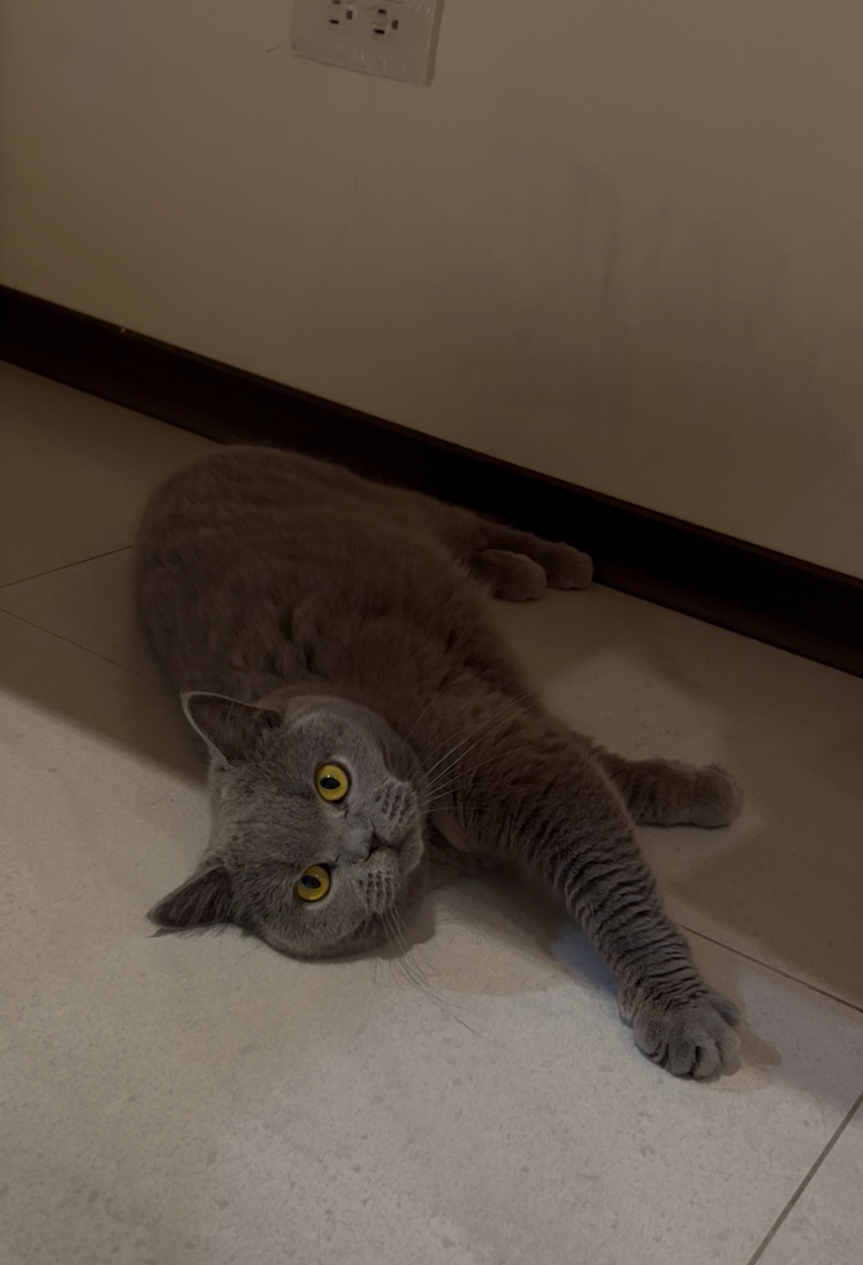 捷運 信義安和 六張黎 - 服務說明 2