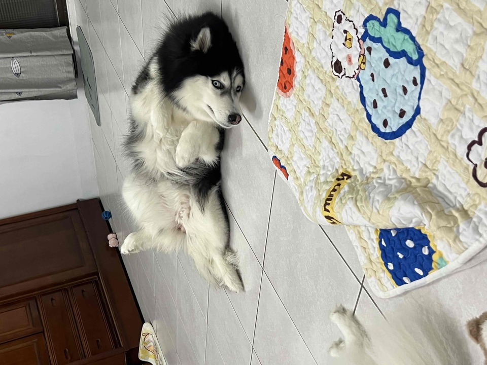 捷運 信義安和 六張黎 - 服務說明 3