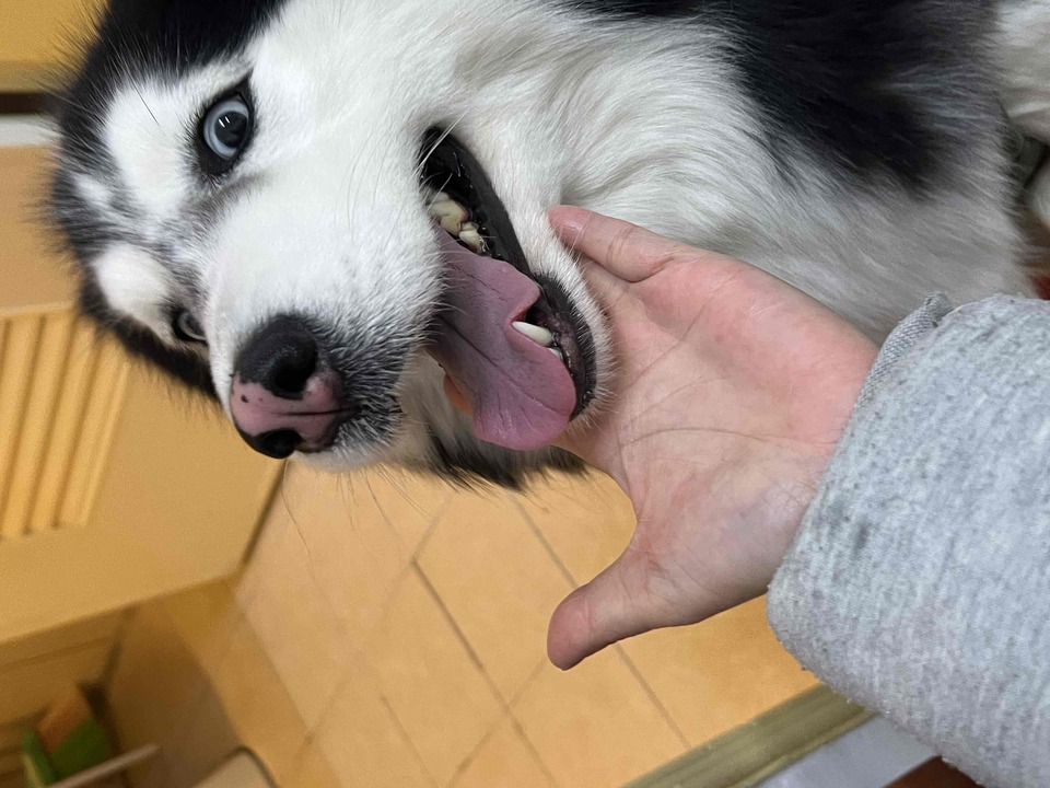 連假有空～歡迎預約～通化街（臨江街夜市） - 服務說明 3