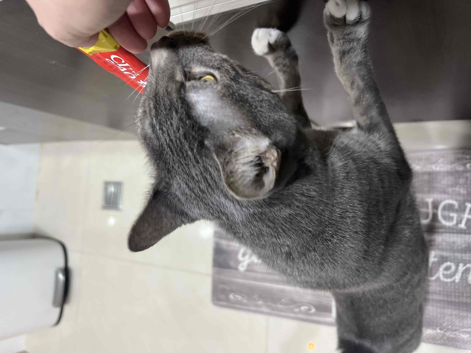 連假有空～歡迎預約～通化街（臨江街夜市） - 服務說明 2