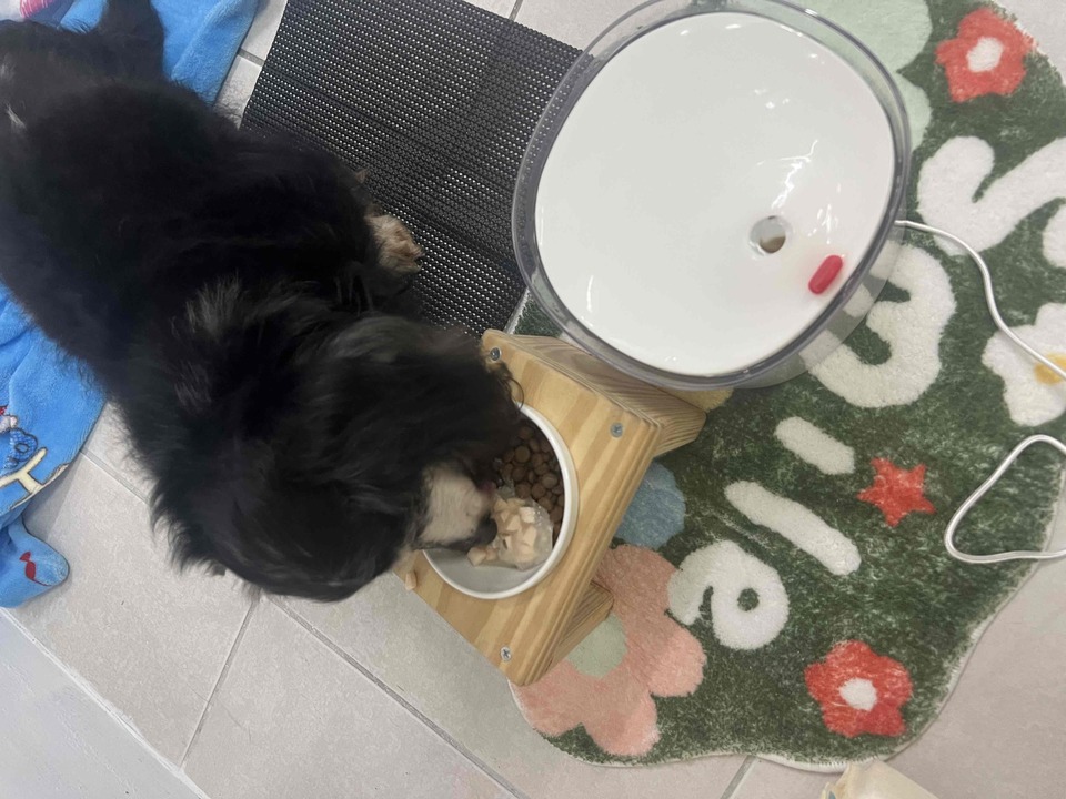 捷運 信義安和 六張黎 - 服務說明 10