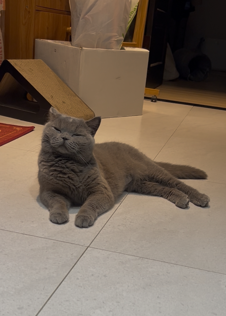 捷運 信義安和 六張黎 - 服務說明 1