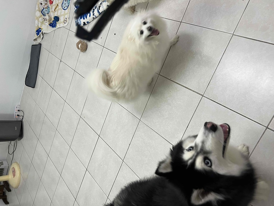 捷運 信義安和 六張黎 - 服務說明 4