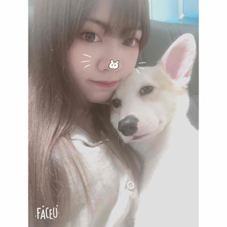 加錢🐾  ❗️過年🧨開放預約❗️