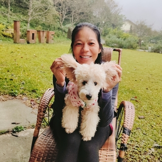  尋找第100個按讚免費1次--土城區貓化身的貓保姆--貓派可享不限量最低價