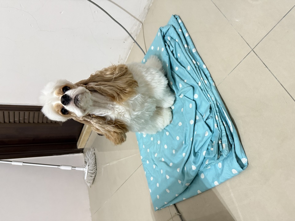 向日葵安親班🌻 - 服務說明 1