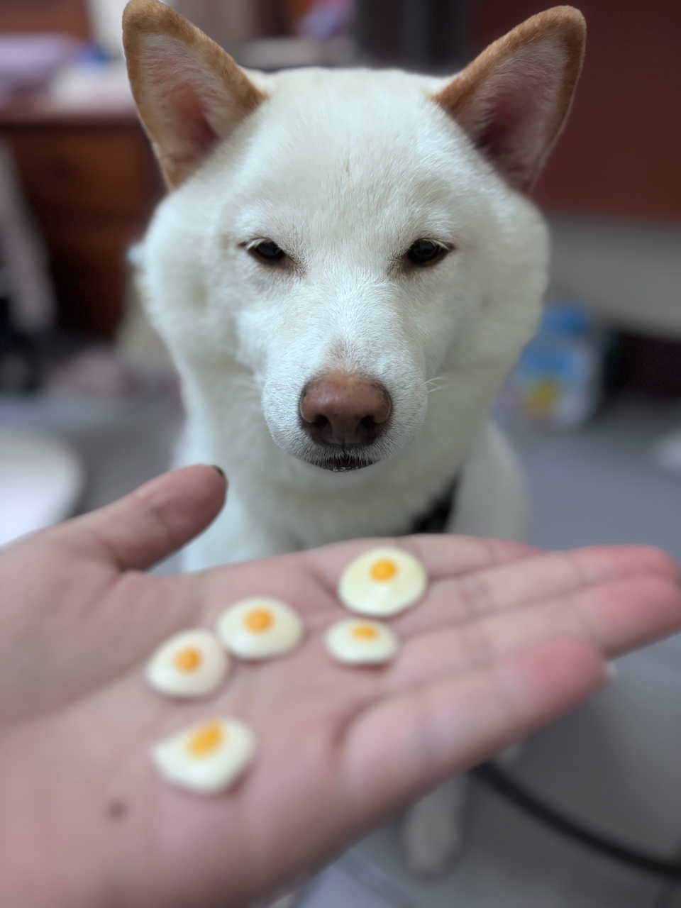 向日葵安親班🌻 - 服務說明 10