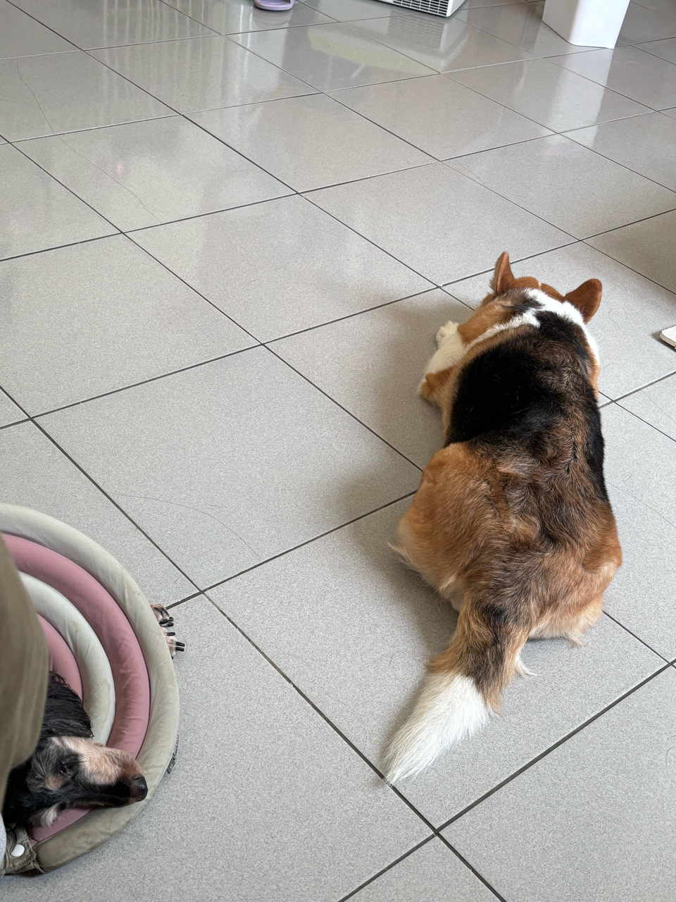 向日葵安親班🌻 - 服務說明 3