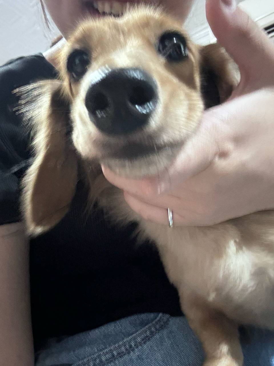 向日葵安親班🌻 - 服務說明 7