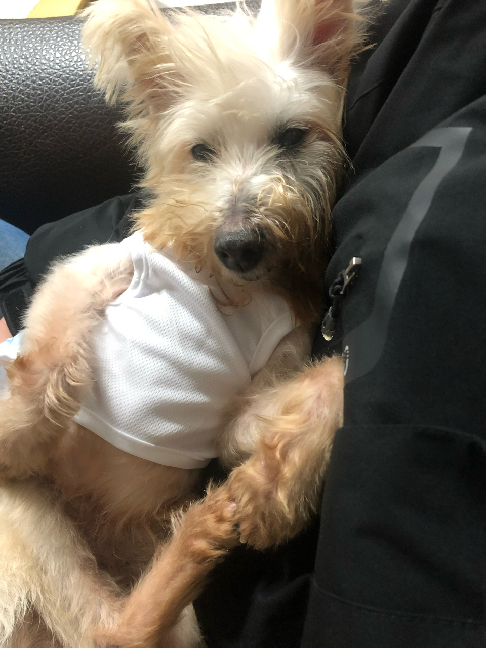 向日葵安親班🌻 - 服務說明 5