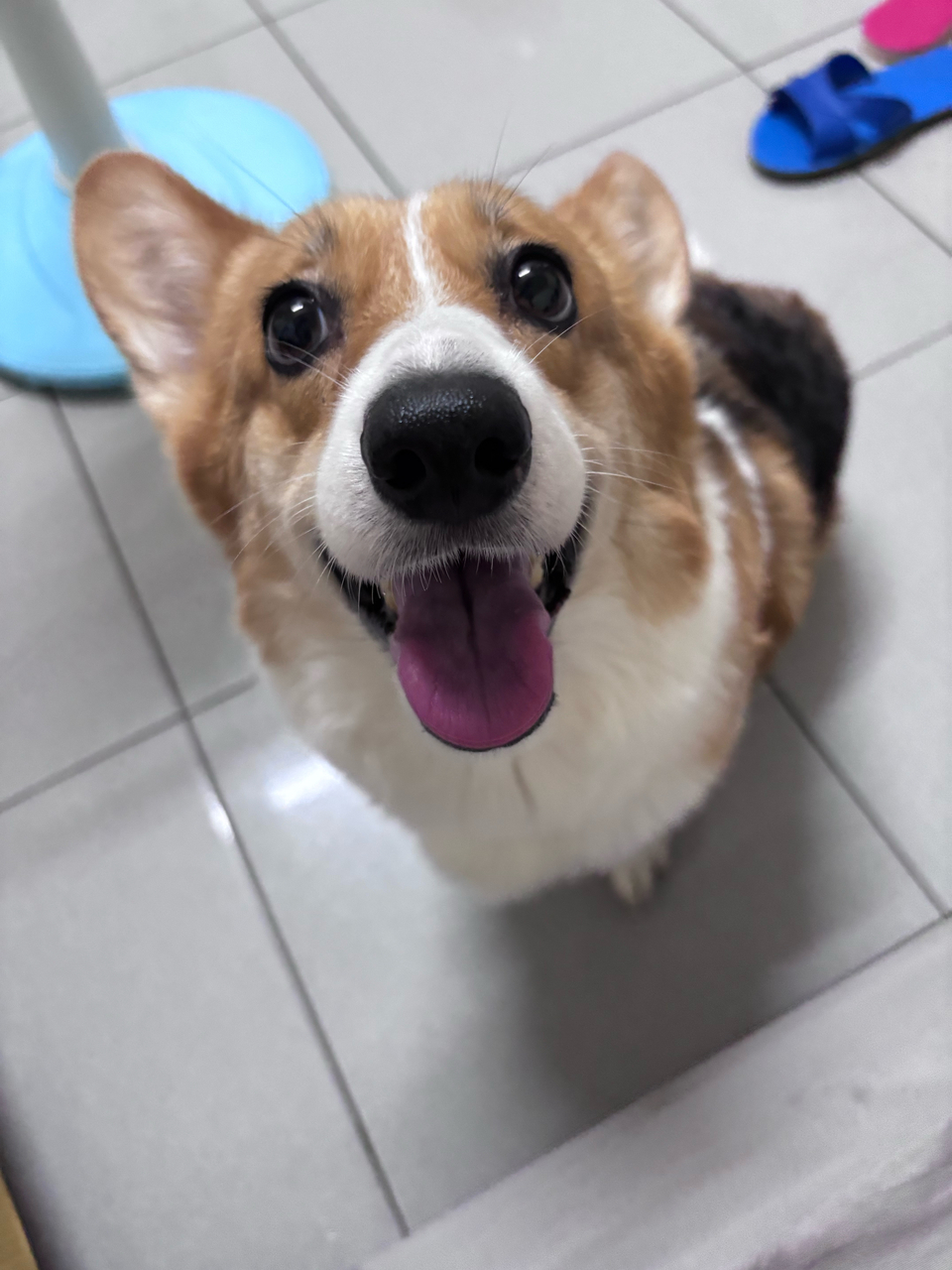 向日葵安親班🌻 - 服務說明 6