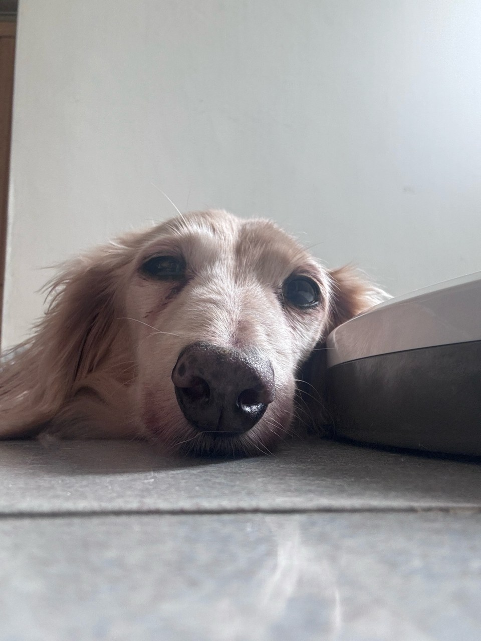 向日葵安親班🌻 - 服務說明 8