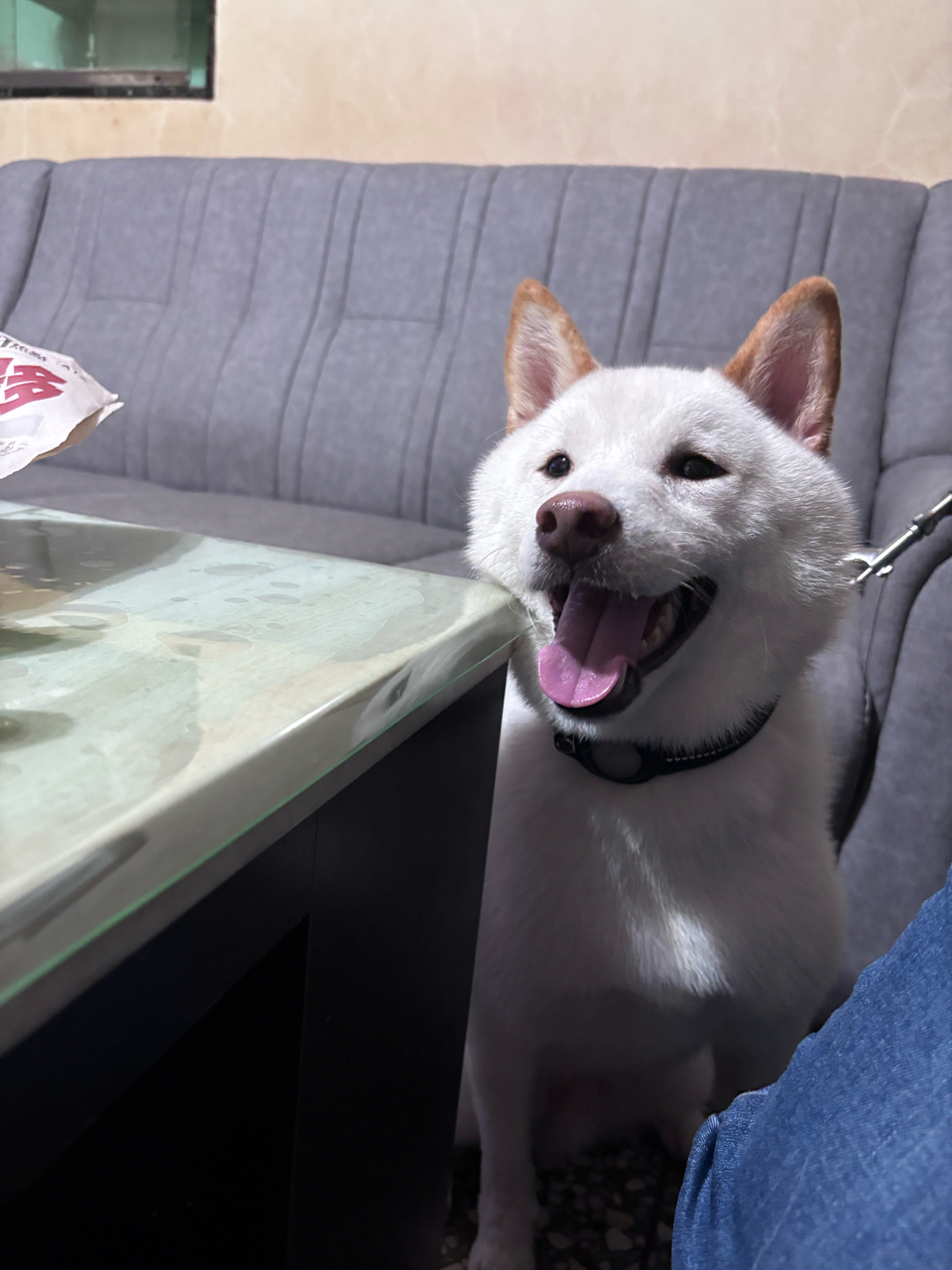 向日葵安親班🌻 - 服務說明 2