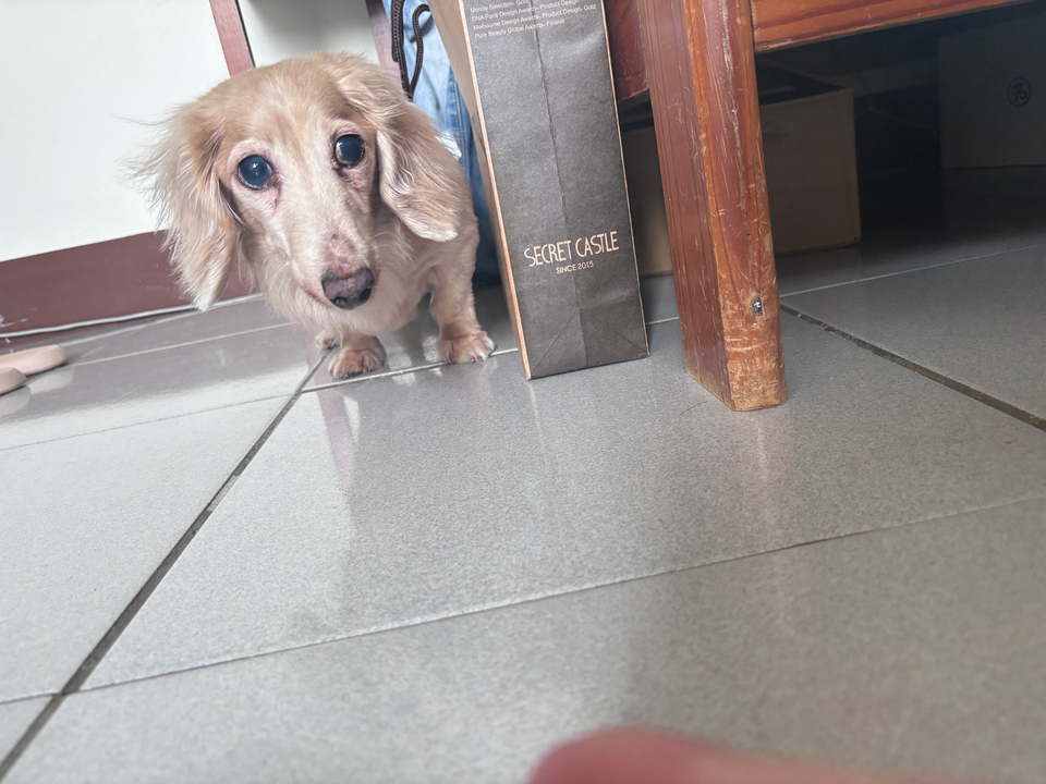 向日葵安親班🌻 - 服務說明 9