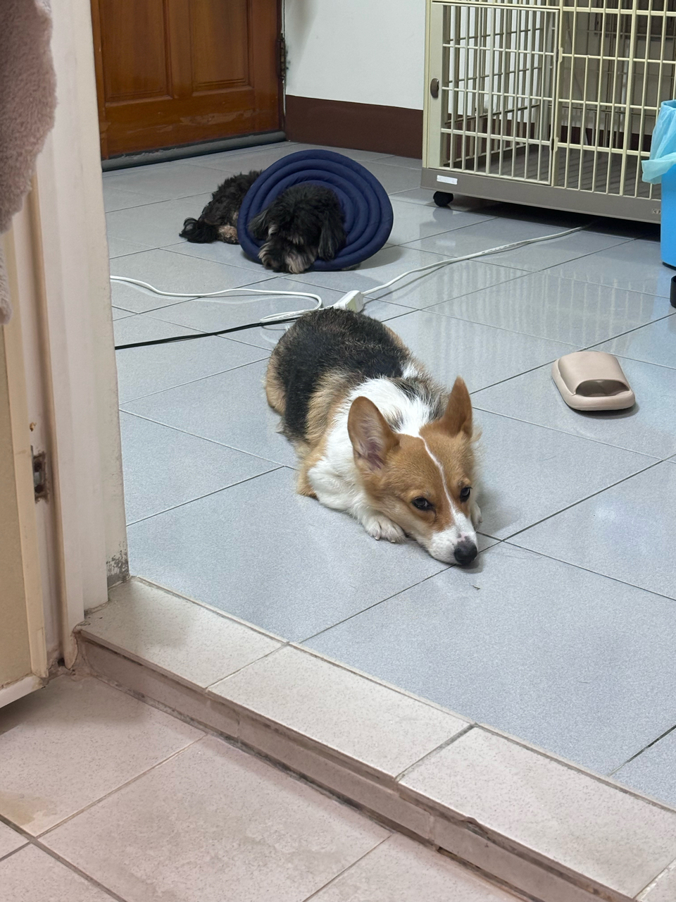 向日葵安親班🌻 - 服務說明 4