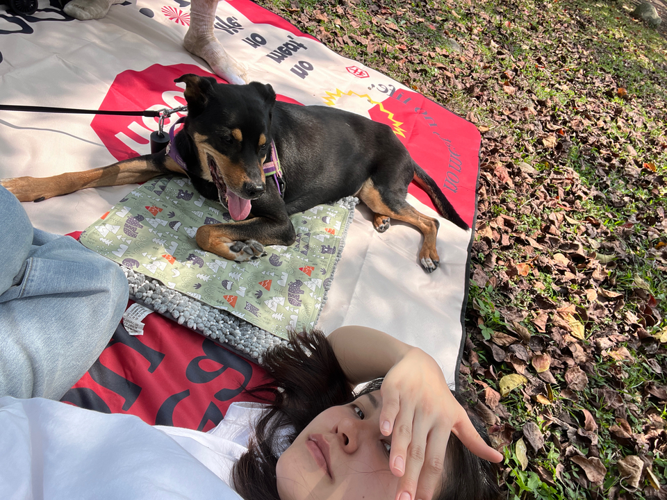 【雙和地區老犬陪伴散步】🐶9年養狗經驗 - Description 4