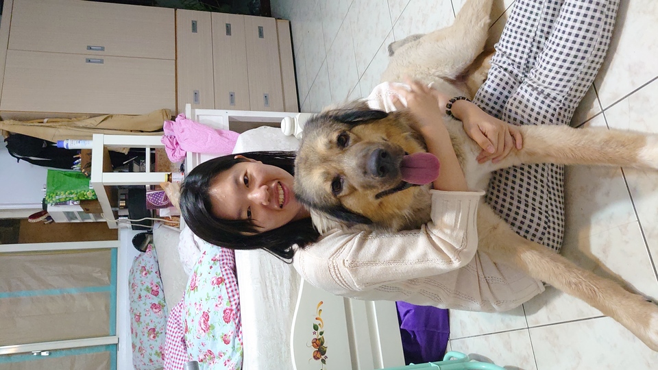 6年寵物美容照顧經驗,擔任動物醫院助理一年半,擁有kct B級美容執照 - 服務說明 5