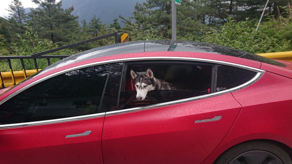 專業到府接送寵物，免關籠運輸 - Description 1