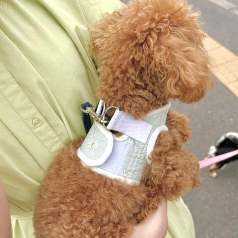 『ペットシッター』