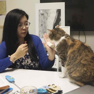 貓行為諮詢師 林薇