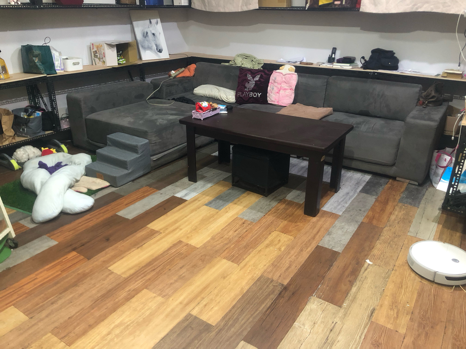 暖心 ·毛癒所 ❤️寄宿（三蘆區）👉 「一般下單區」開放預約😀 - サービス説明 1