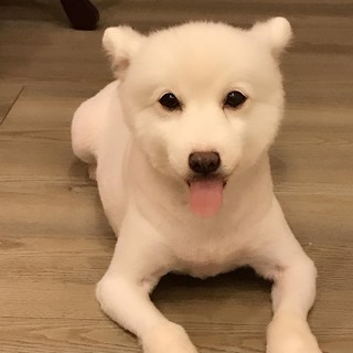 蒨蒨✨✨全職桃園、新竹美容師保姆✨✨