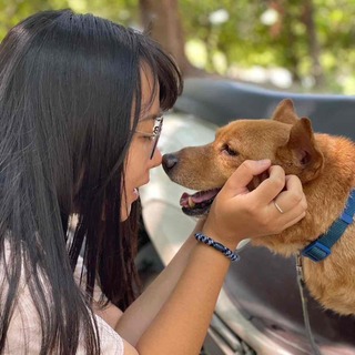 Yun藥師 — 現為研究生