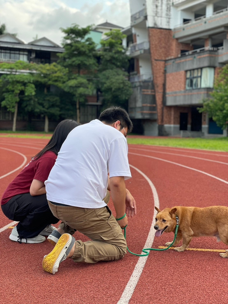 寵物散步服務 - Description 2