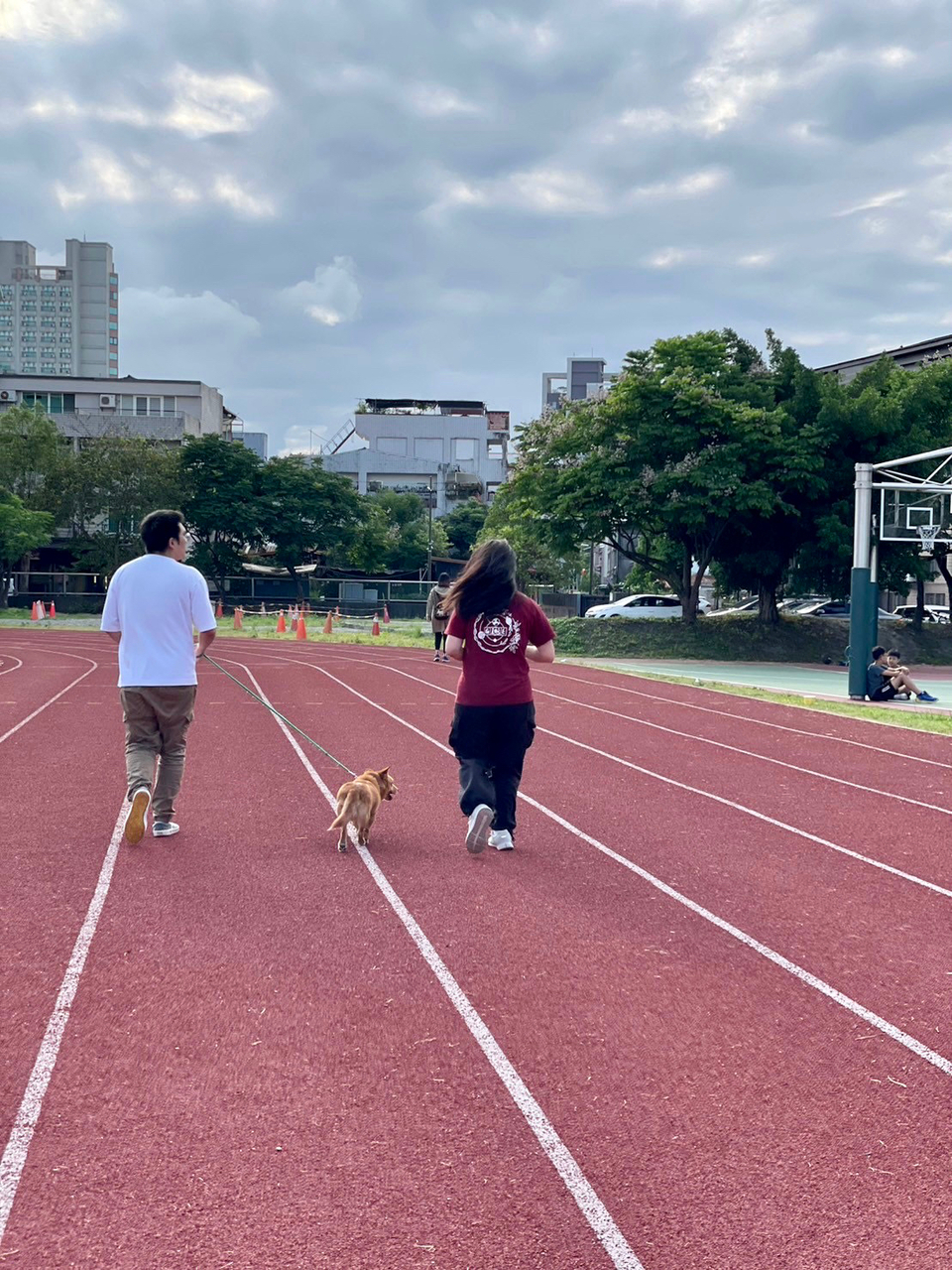 寵物散步服務 - Description 1